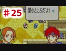 【ファイアーエムブレム】思考雑魚っぱの封印の剣  part25