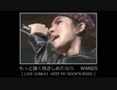 もっと強く抱きしめたなら　WANDS 【 LIVE-JUNK#1 】