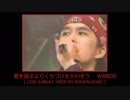 愛を語るよりくちづけをかわそう　WANDS 【 LIVE-JUNK#1 】