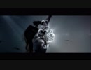 Eluveitie - Ambiramus  [Official Music Video]