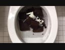 バースデーケーキをトイレに流してみた５