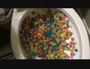 フルーツループをトイレに流してみた２