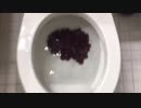 葡萄をトイレに流してみた２