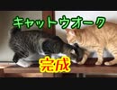 キャットウォークをDIY！誠だけが登れる場所に橋がかかって誠が不満顔です。