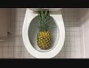 パイナップルをトイレに流してみた