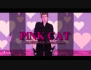 【FFMMD】イグニスでPiNK CAT