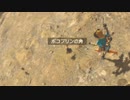 依頼を受けて、倒したボコブリンの素材が転がるのを観察してみた