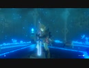 【実況】十五の掟で挑むブレスオブザワイルド～part.49～