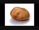【初音ミク】POTATO【オリジナル曲】