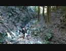 ドローン初心者がtelloを初フライトさせてきた