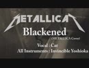 メタリカを猫に歌ってもらった【Blackened / METALLICA cover】