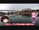 琴葉姉妹と行く釣行記録（釣り堀編part3）