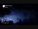 【第２５夜】眠れぬ夜のHOLLOW KNIGHT【実況】