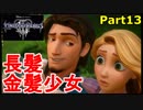 【実況】『キングダムハーツⅢ』の世界を光で救う Part13【長髪】