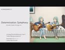 《氷川姉妹生誕祭2019》Determination Symphony《フル尺アコギアレンジ》
