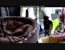 あず、何してるの！