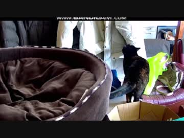 あず、何してるの！