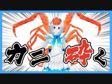 ちょっと蟹さんの甲羅砕いてきます...みて！まるでカニカマよ！【アプリ#20】