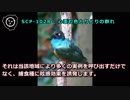 【怪異792】SCP-1028 - 心歪む色とりどりの群れ