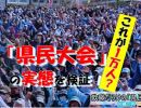 【沖縄の声】沖縄の「反基地ムード」の原因/ボギーてどこん「浦添新基地反対！デニー知事は浦添の海を埋め立てるな！」[H31/3/19]