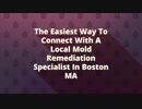 ALL US Mold Remediation in Boston MA
