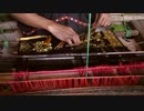 来馬哲二　Woman Weaving on a Loom with Bobbins