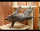 - Bboy Mix -