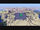情報完全遮断完全初見でマインクラフト#112