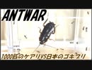 1000匹のケアリVS日本のゴキブリ～黒光りの例のアイツ～