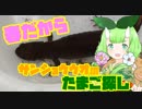 サンショウウオの卵、見つけたー！【Vtuber妖怪 木守日あぐり】