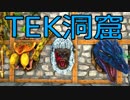 【ARK #19】最終章　TEK洞窟攻略編