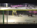 【２３連勝！記録更新】2019年3月18日帯広競馬12R A2-1 ホクショウマサル