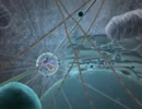 細胞 Inner Life Of A Cell 细胞