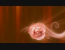 Flower Background　西川輝寿