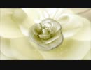 西川輝寿　Flower Motion Background