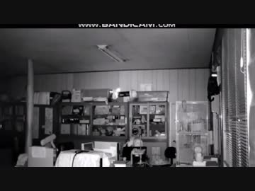 猫なのに・・・