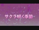 【初音ミク】サクラ咲く季節【Borderlessオリジナル曲】