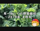 月一ゆっくり野菜栽培 2019年3月