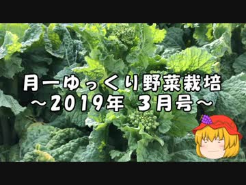 月一ゆっくり野菜栽培 2019年3月