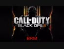 自分の使いやすい武器を探すPart3 BRM【COD:BO3】