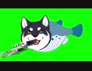 ゆめおを吐く黒井しばGB