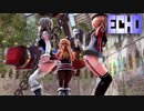【MMD艦これ】ザラとポーラとプリンツ・オイゲンでECHO　ミニスカローアングルVer.　歌詞つき