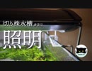 【切り株水槽#11】25センチ水槽に30センチ用照明を設置