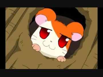 とっとこNYN太郎