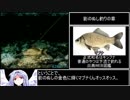 川のぬし釣り～秘境を求めて～ 影のぬし釣りRTA 4時間32分7.1秒 part6/6