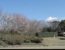 ぶらり安国寺紀行（鹿児島県・桜島）スライドショー