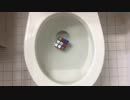ルービックキューブをトイレに流してみた