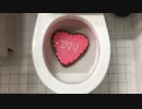 バレンタインデーをトイレに流してみた