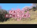 ブルベに初挑戦してみた【ゆっくり実況】