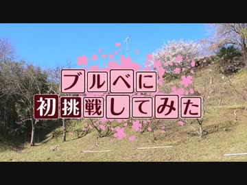 ブルベに初挑戦してみた【ゆっくり実況】